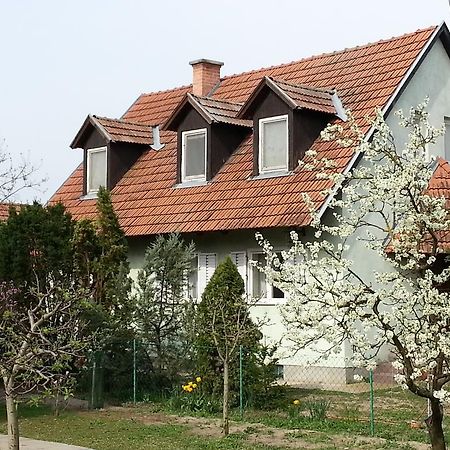 Gyula-Tanya Vendeghaz Villa Csongrád Dış mekan fotoğraf