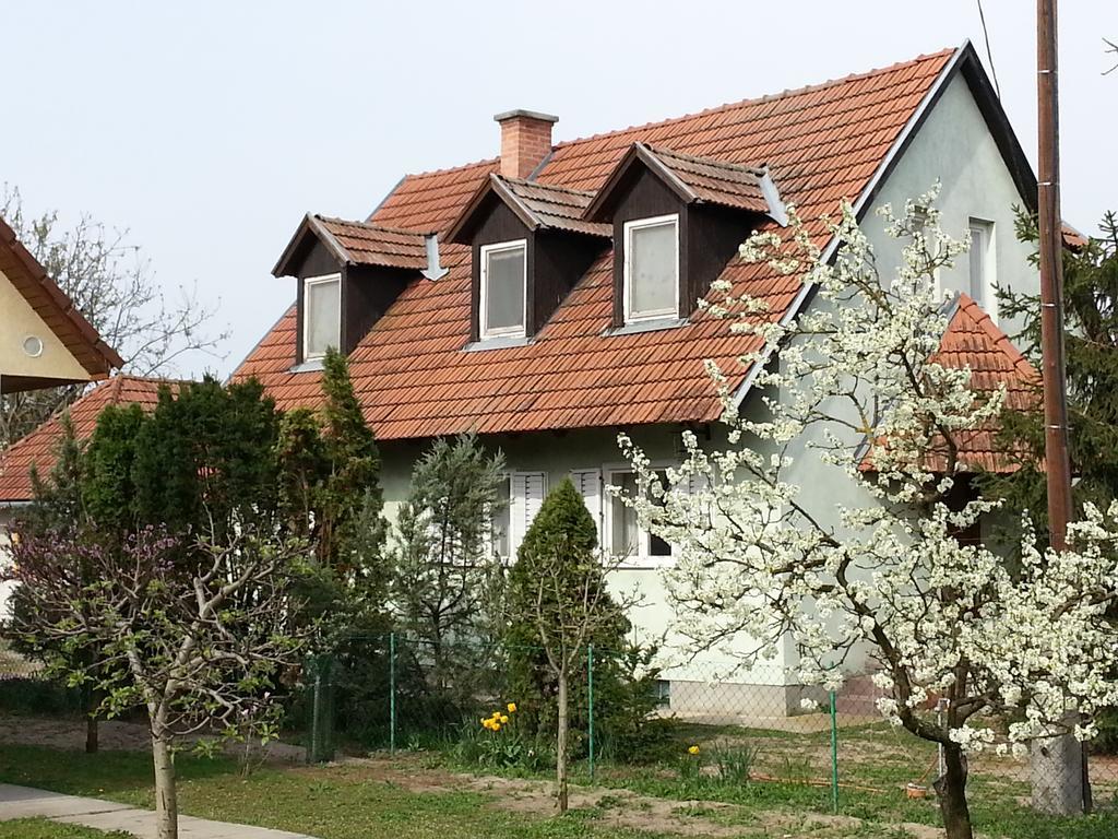 Gyula-Tanya Vendeghaz Villa Csongrád Dış mekan fotoğraf