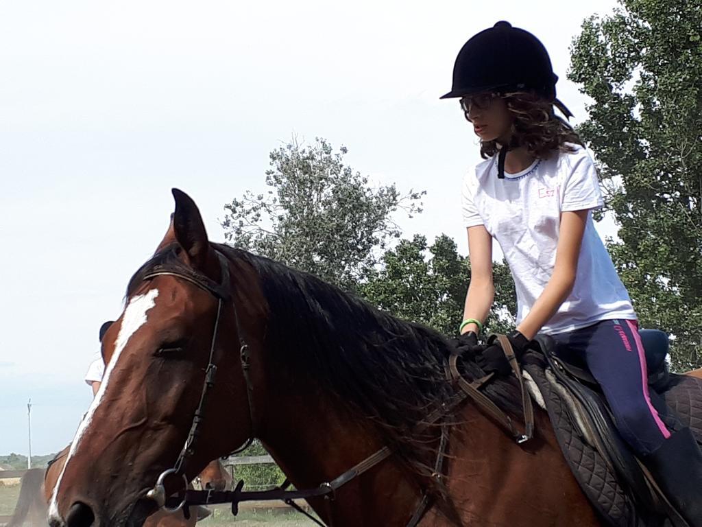 Gyula-Tanya Vendeghaz Villa Csongrád Dış mekan fotoğraf